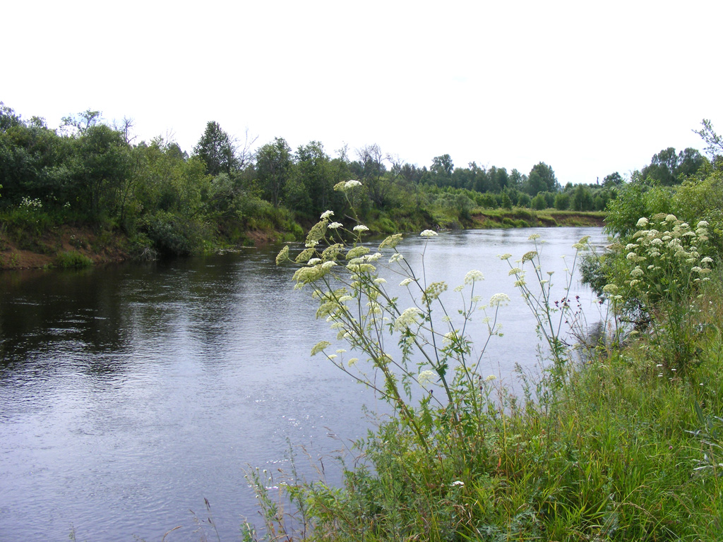 Летейские воды